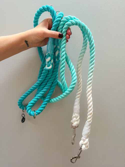 A hand holds an aqua blue and white rope lead for dogs of all shapes and sizes, against a grey wall. This rope lead is durable and stylish.