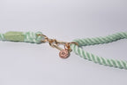 gold detail clasp shown on a class mint green rope dog lead, perfect for dogs of all sizes and everyday walks