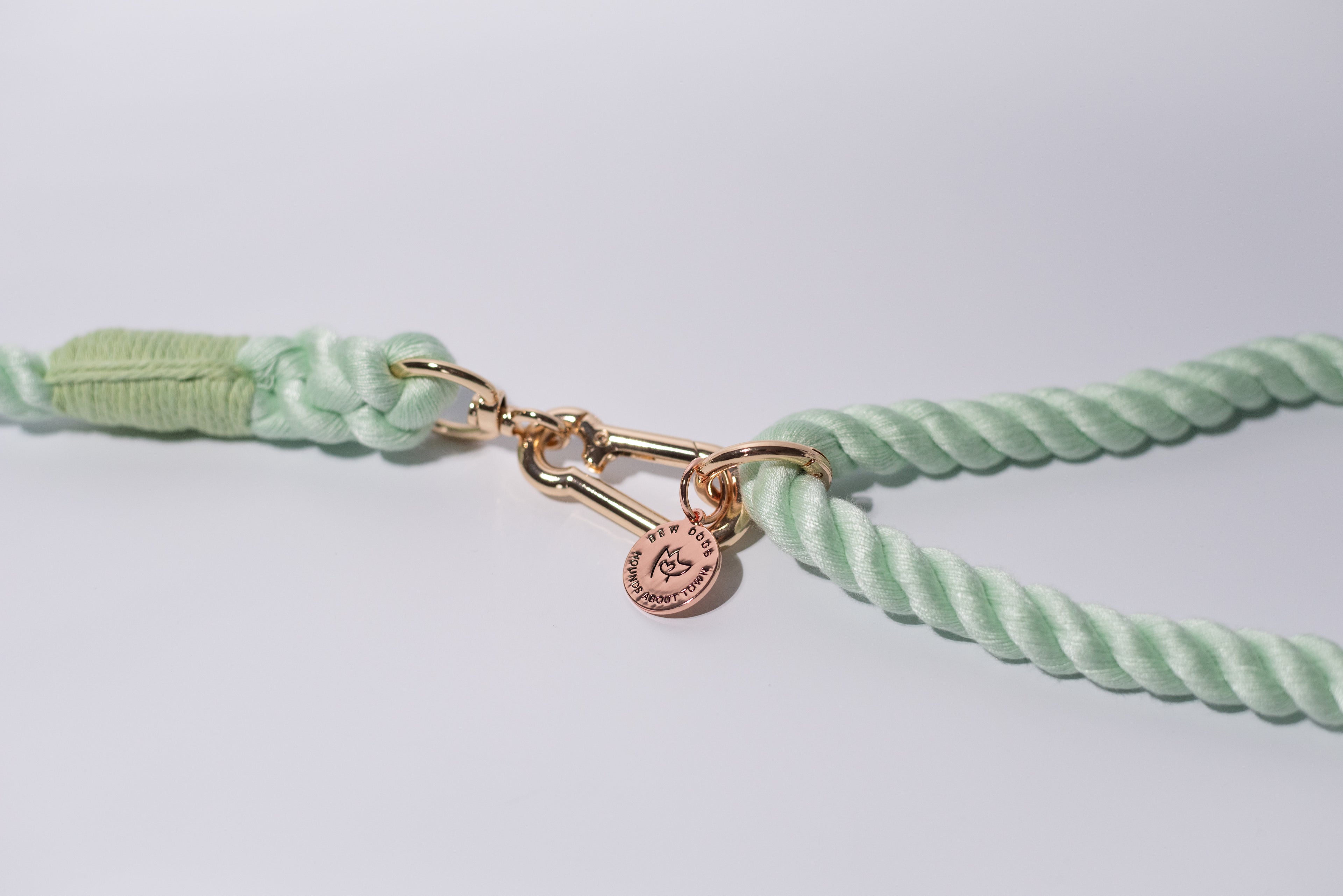 gold detail clasp shown on a class mint green rope dog lead, perfect for dogs of all sizes and everyday walks