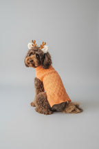 A brown cockapoo dog wears a bright comfortable and soft peach orange dog jumper. she is wearing a headband and sits in front of a grey backdrop