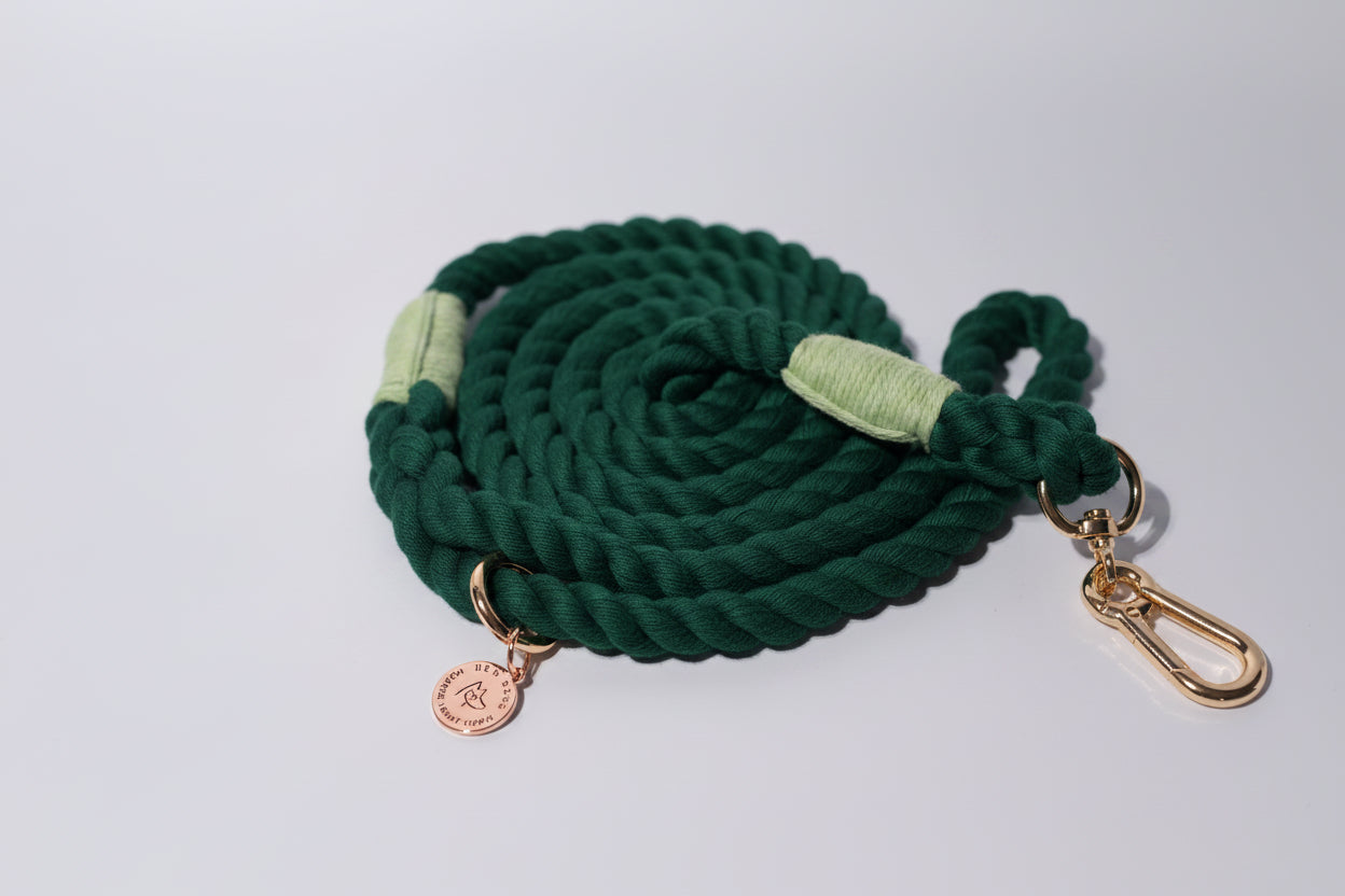 Dark Green rope dog leash with gold clasp and Bew Dogs tag on a light grey background