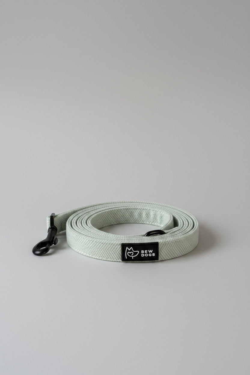 a soft everyday mint green fabric lead from bew dogs, shown against a grey background, available as part of a matching walking set. 