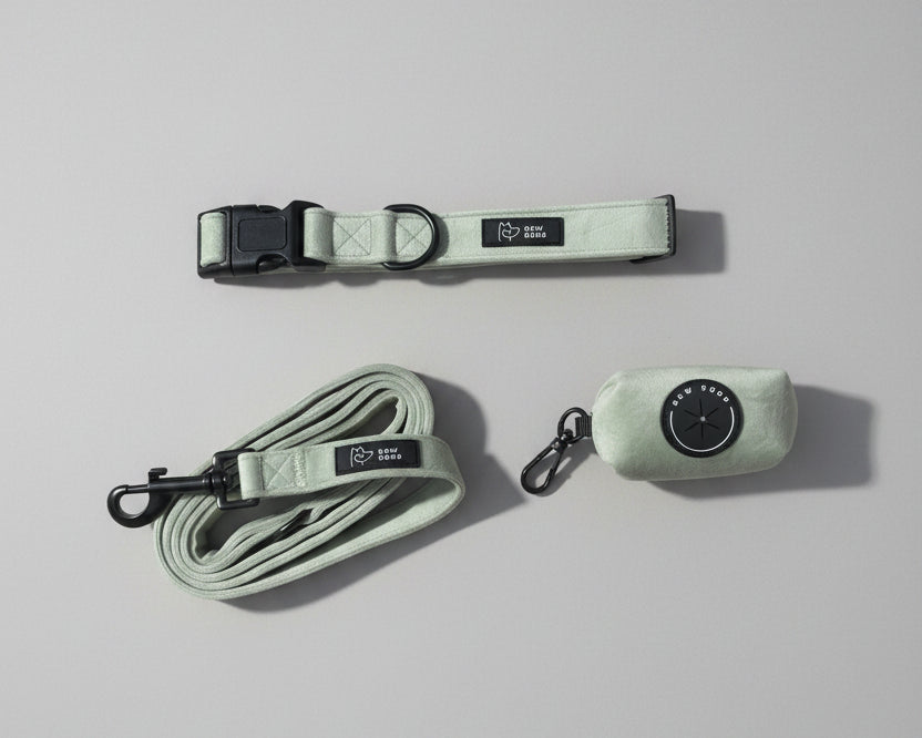 a sage green velvet collar walking set, including dog collar, lead and poo bag holder, against a grey background