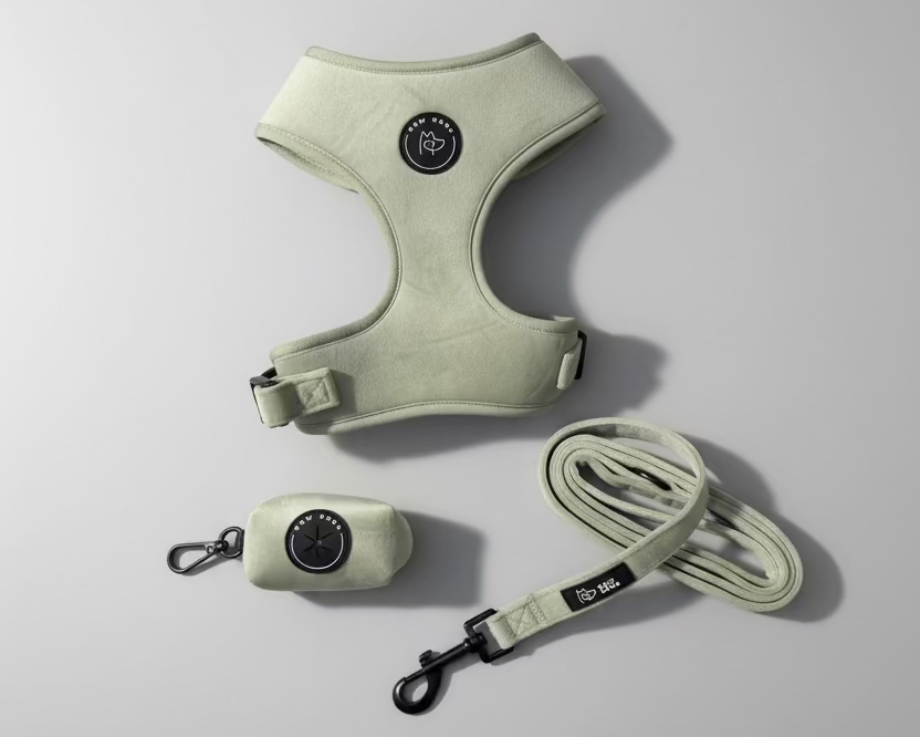 a sage green velvet dog harness,with matching walking accessories: a lead and poo bag holder, against a grey background