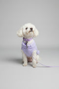 small white dog wearing a lilac knitted sweater and matching accessories, she sits in front of a grey backdrop