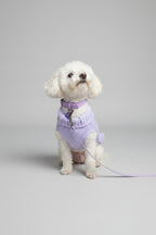 small white dog wearing a lilac knitted sweater and matching accessories, she sits in front of a grey backdrop