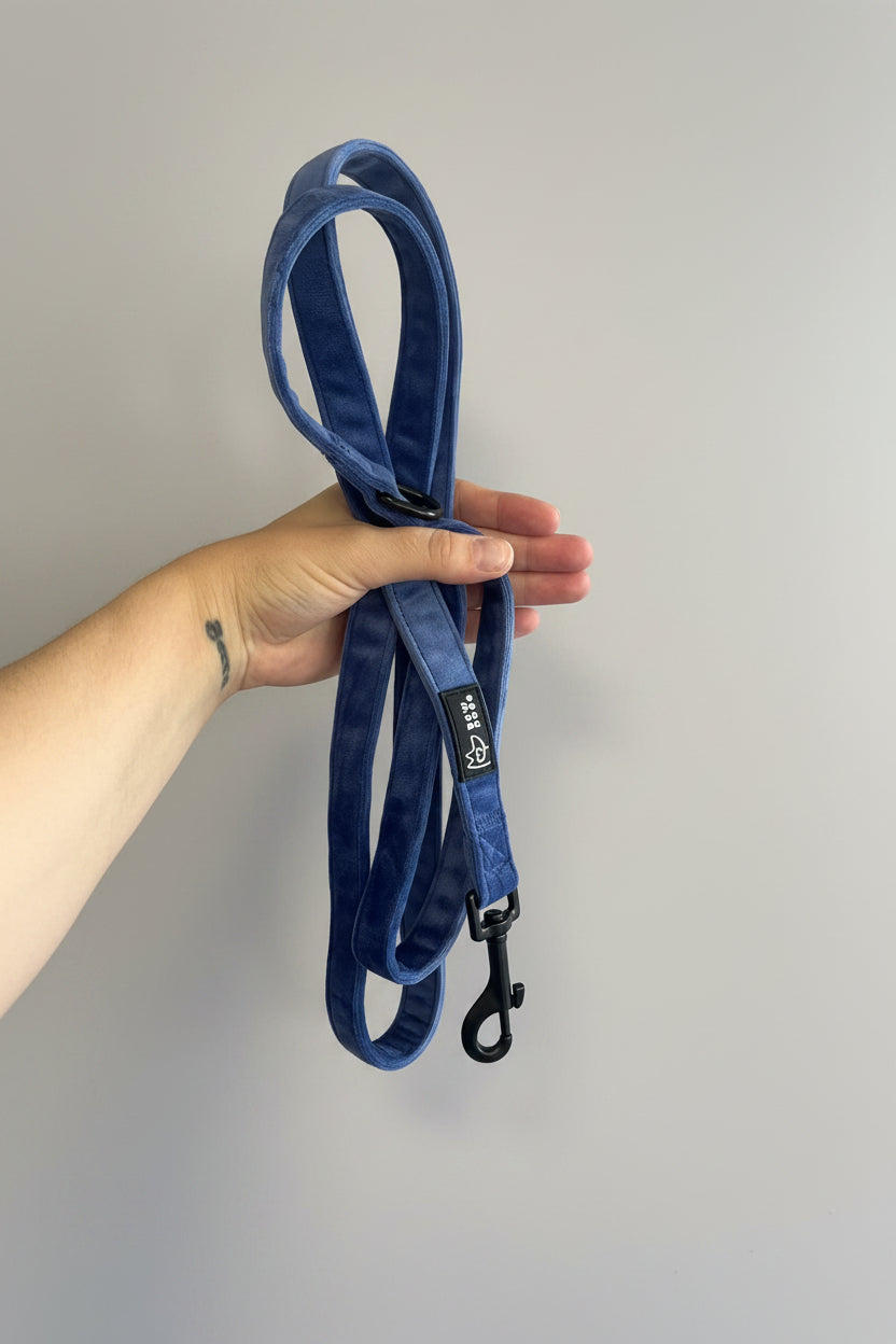 a deep midnight blue velvet dog lead, is held in front of a grey studio background