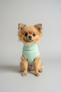 cute pomeranian wearing XS mint green cable knit dog jumper, sits in front of a grey background