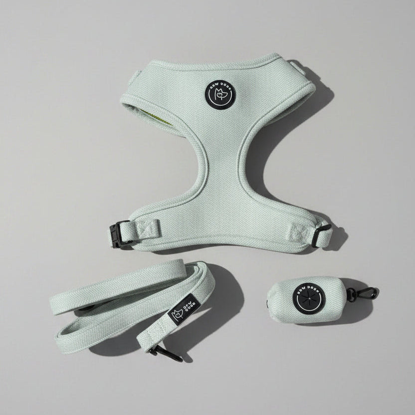 a fresh mint green herringbone harness for dogs, walking set - including matching soft fabric lead and poo bag holder. set against a grey background