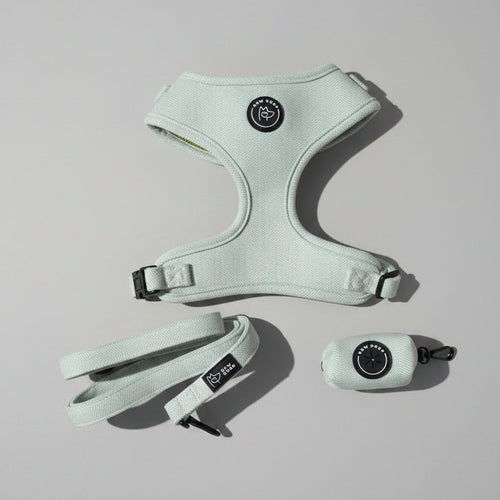 a fresh mint green herringbone harness for dogs, walking set - including matching soft fabric lead and poo bag holder. set against a grey background