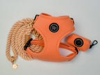 dog harness in peach with matching poo bag holder, alongside a peach rope lead for dogs, set against a white background
