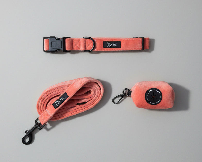 a lush summery peach velvet walking set including dog collar, lead and poo bag holder is set against a grey background