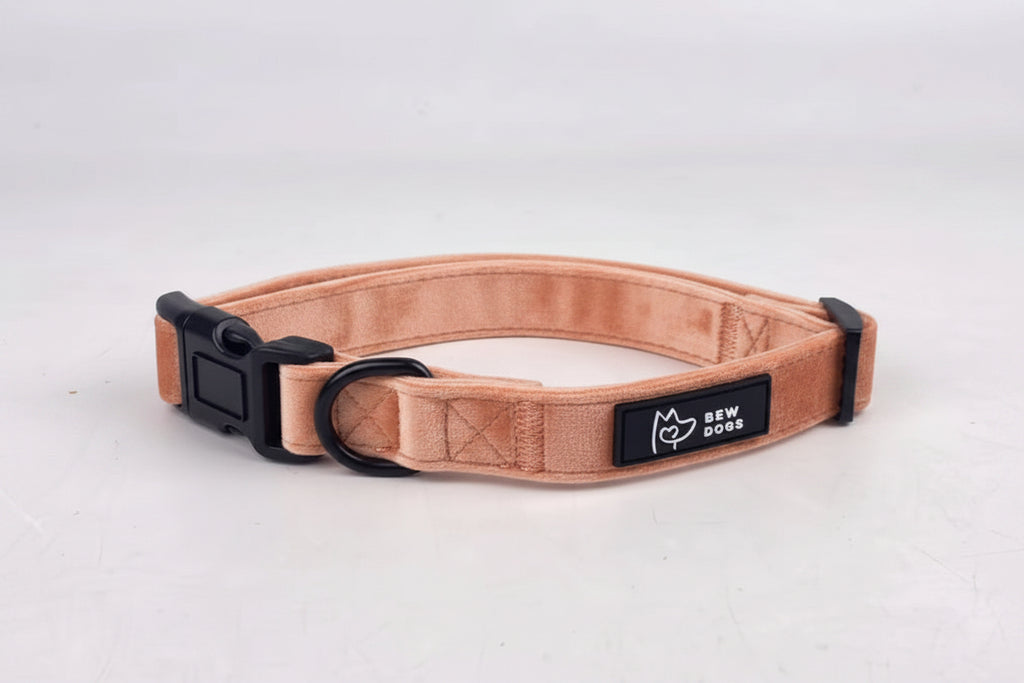 a fully adjustable dog collar in lush peach velvet, available in 3 sizes and super soft, is shown against a grey studio background. From Bew Dogs