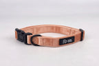 a fully adjustable dog collar in lush peach velvet, available in 3 sizes and super soft, is shown against a grey studio background. From Bew Dogs