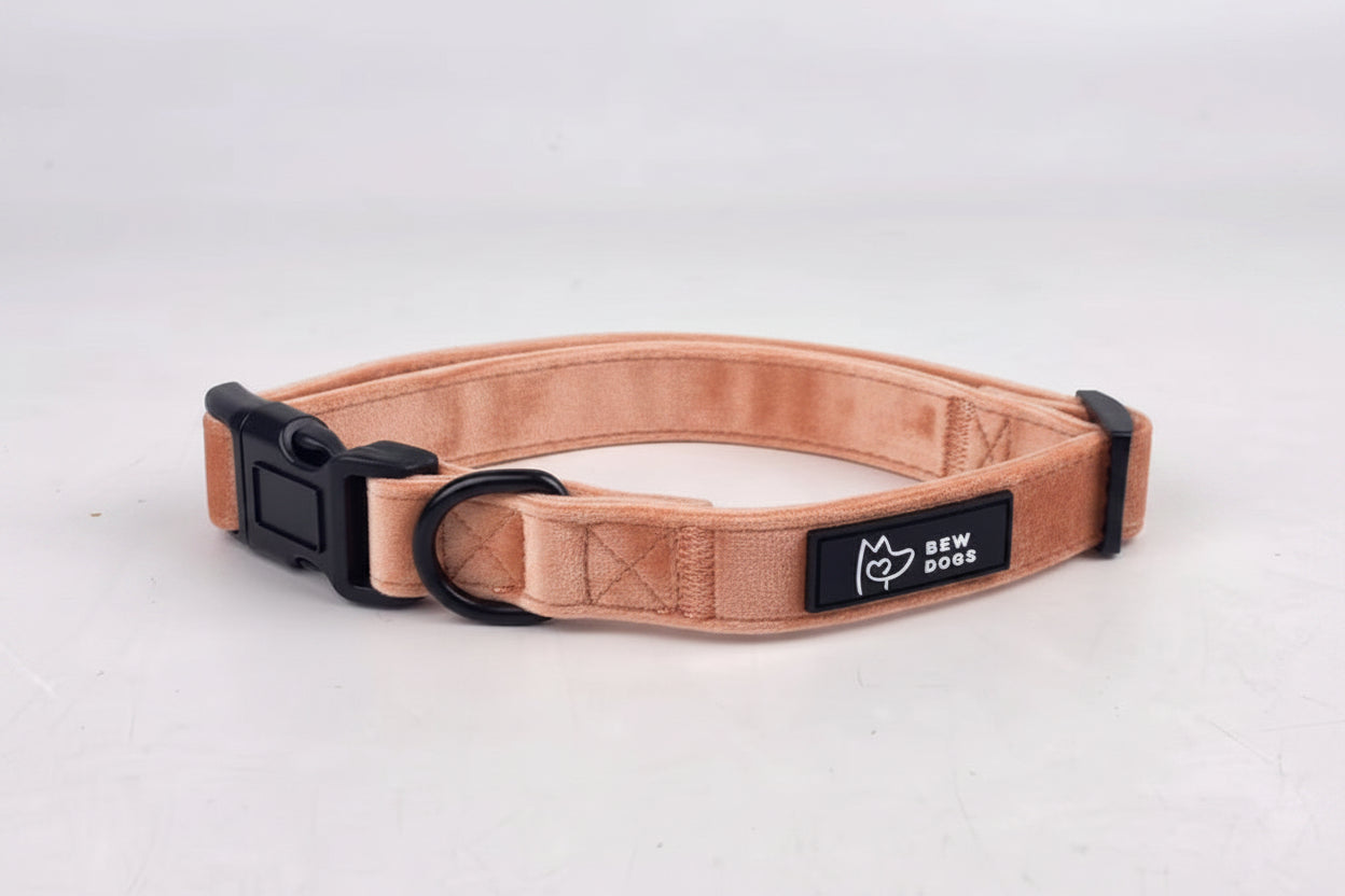 a fully adjustable dog collar in lush peach velvet, available in 3 sizes and super soft, is shown against a grey studio background. From Bew Dogs