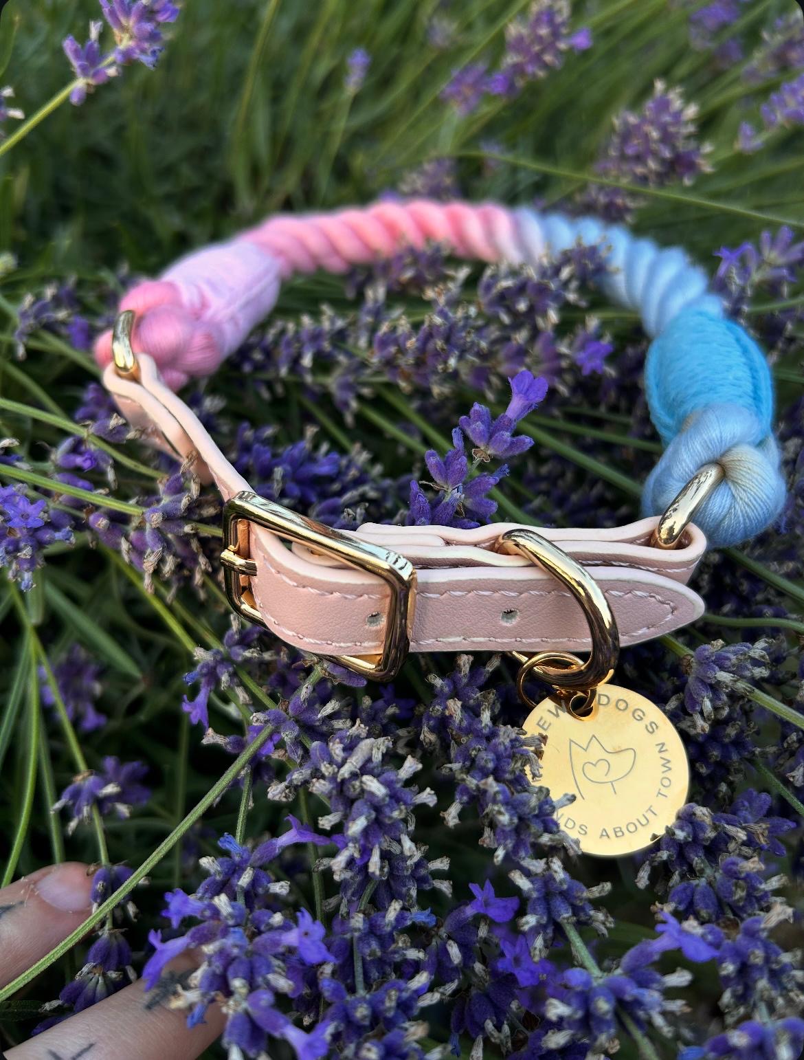 Rainbow rope dog collar, with vibrant pink and blue tones, with a gold tag on lavender flowers