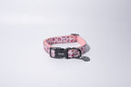 a pink neoprene dog collar from bew dogs, sits on a white background