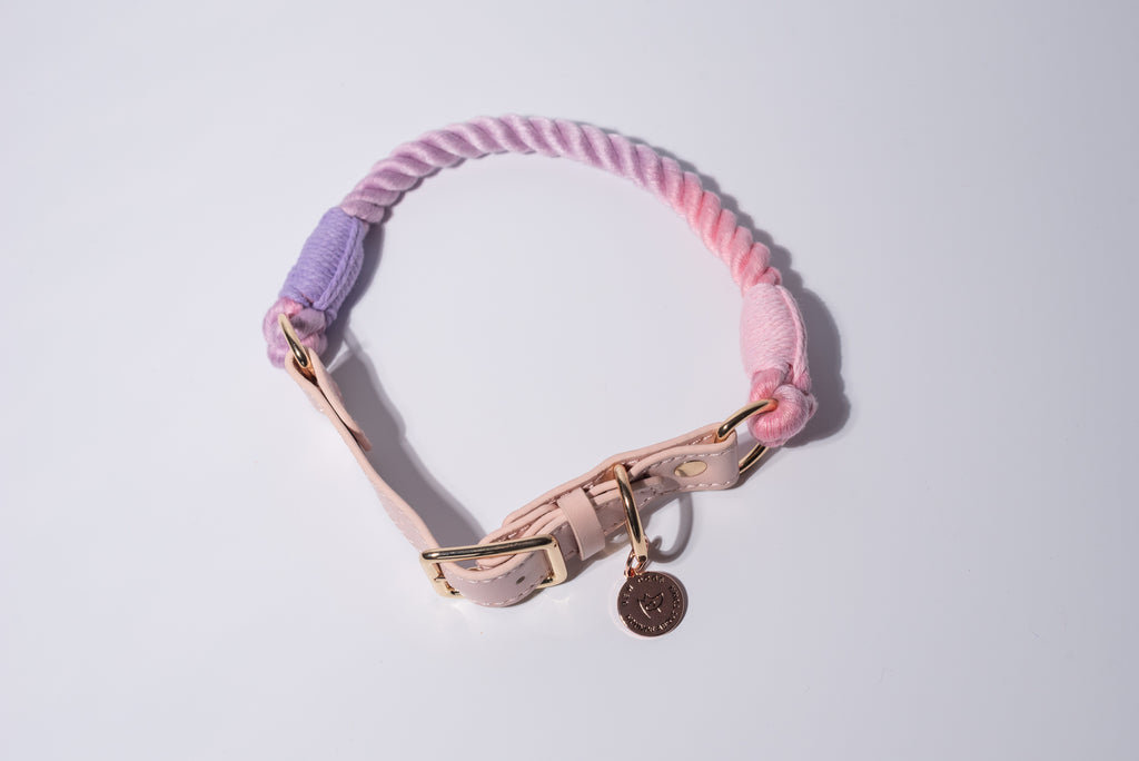 a studio shot set against a white background, of a rainbow rope collar with pink and purple tones and a gold buckle and bew dogs tag