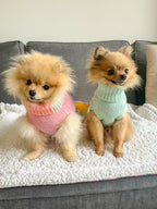 a pair of pomeranians wearing super soft phoenix yarn, cable knit dog jumpers in mint green and rainbow. they sit on their sofa at home