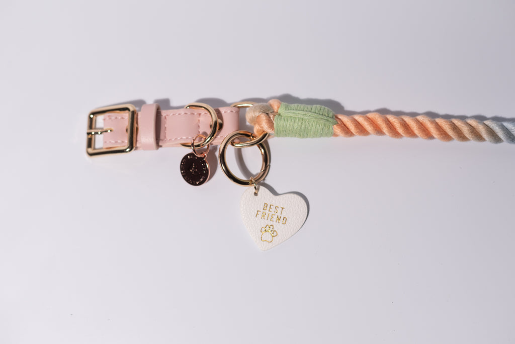 a beautiful rainbow rope dog collar, in peach and green with gold details, has a "best friend" heart shaped dog tag connected, set against a white background.