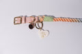 a beautiful rainbow rope dog collar, in peach and green with gold details, has a "best friend" heart shaped dog tag connected, set against a white background.