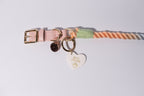 a beautiful rainbow rope dog collar, in peach and green with gold details, has a "best friend" heart shaped dog tag connected, set against a white background.