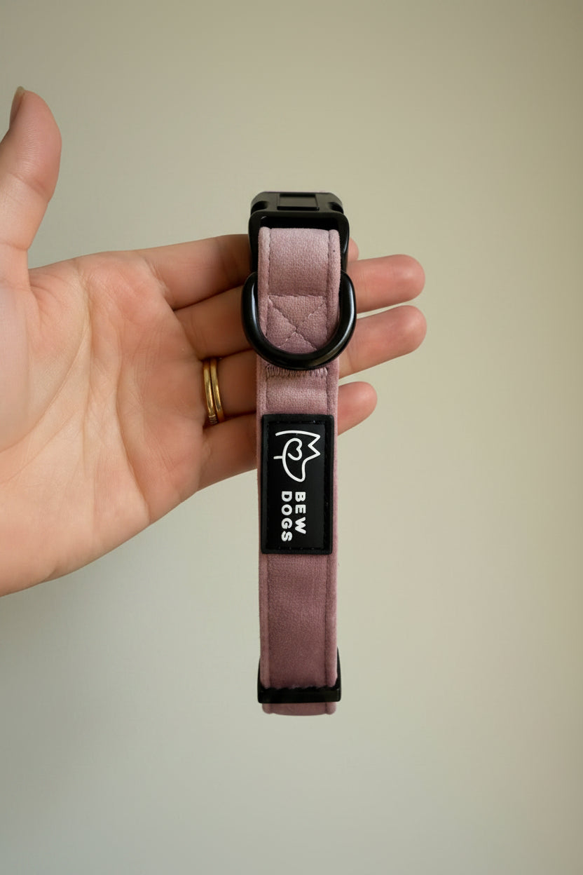 Pink velvet dog collar with black buckle held by a hand against a beige background