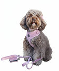 Brown fluffy Dog wearing a gorgeous, soft pink velvet harness with matching velvet lead and poo bag holder, against a white background.
