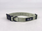 A lux , super soft sage green dog collar in velvet, fully adjustable and available in 3 sizes, sits against a studio grey background