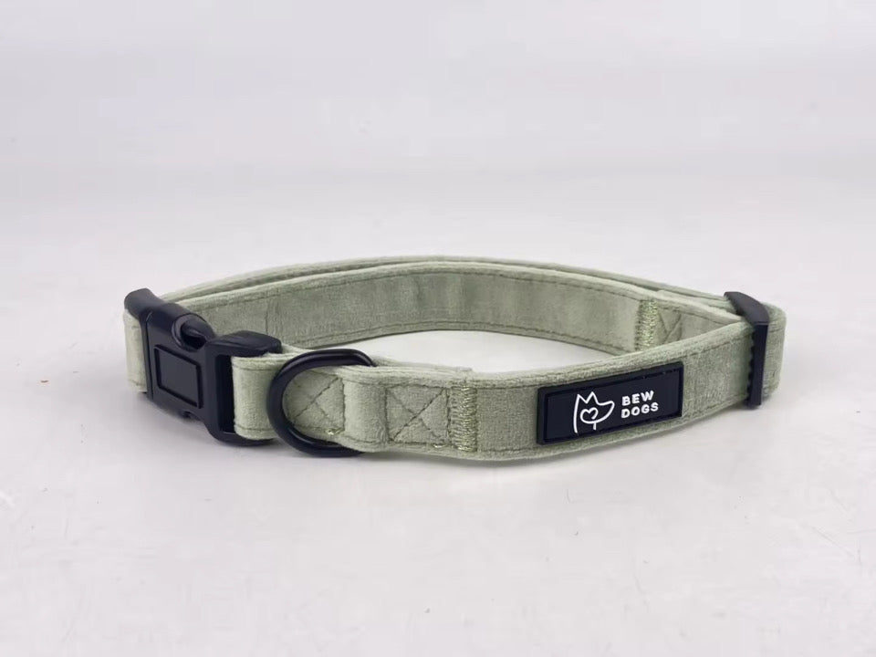 A lux , super soft sage green dog collar in velvet, fully adjustable and available in 3 sizes, sits against a studio grey background
