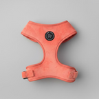 The Bew Dogs sundown peach velvet  dog harness, against a grey background