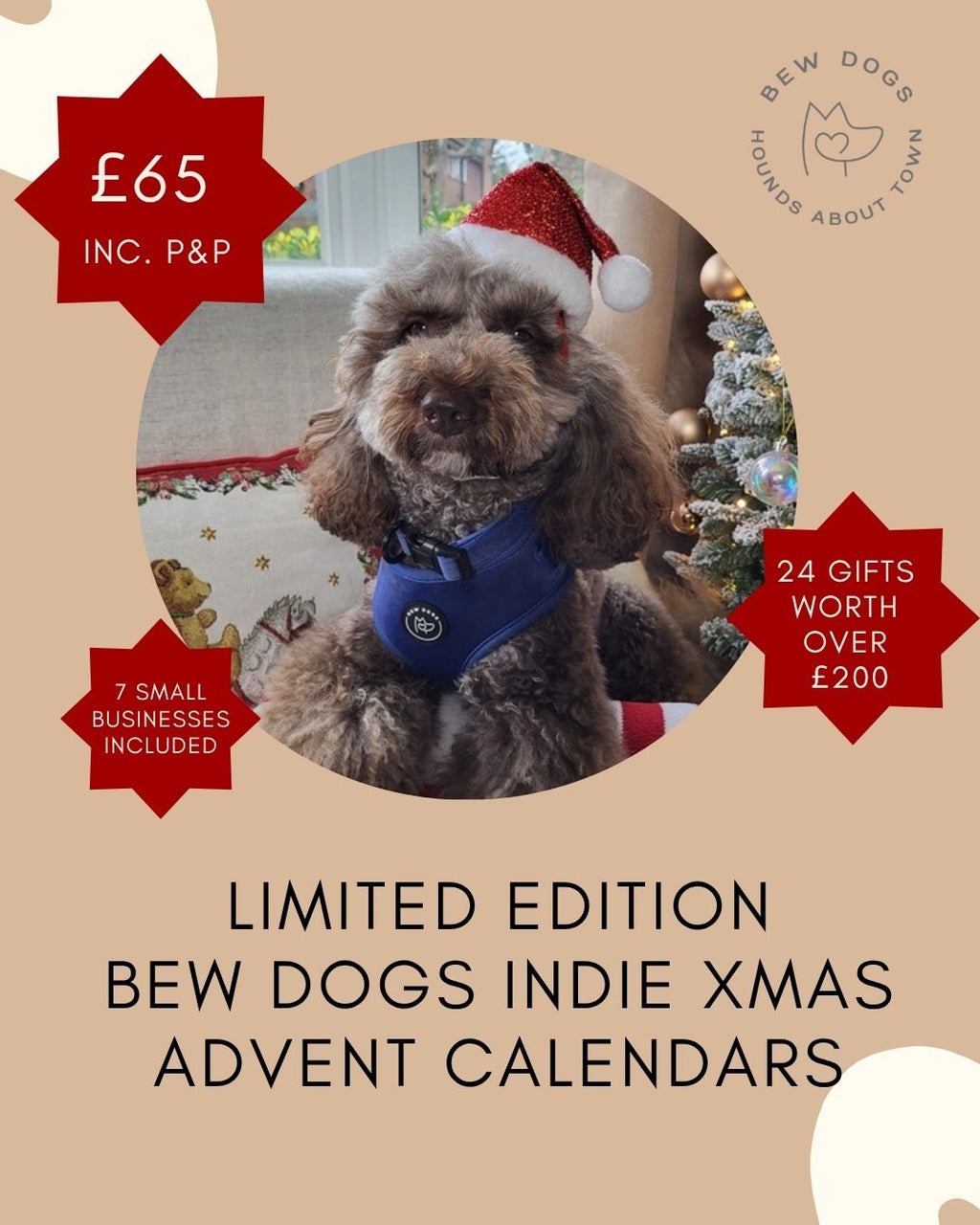 Bew Dogs luxury dog advent calendar 2026 with 24 full-sized dog gifts