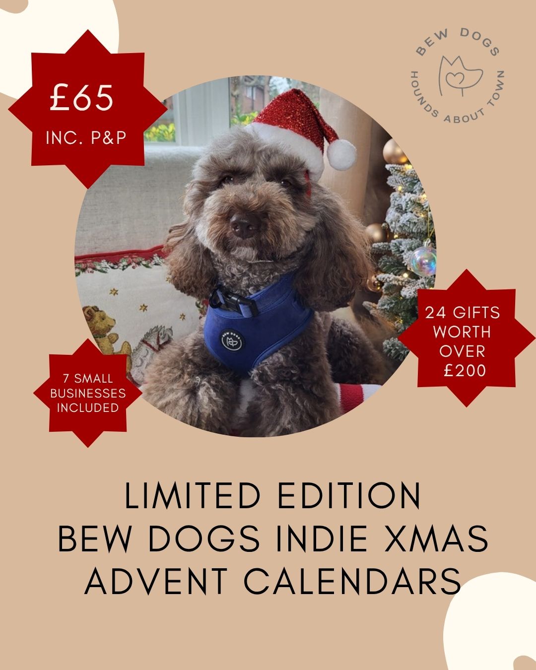 Bew Dogs luxury dog advent calendar 2026 with 24 full-sized dog gifts