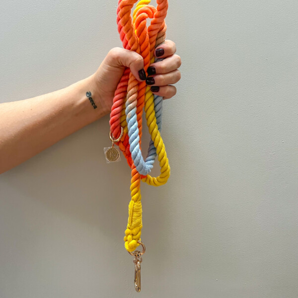 a woman's hand with deep red autumn nail varnish, clasping a bew dogs rainbow coloured rope lead, in front of a white background.