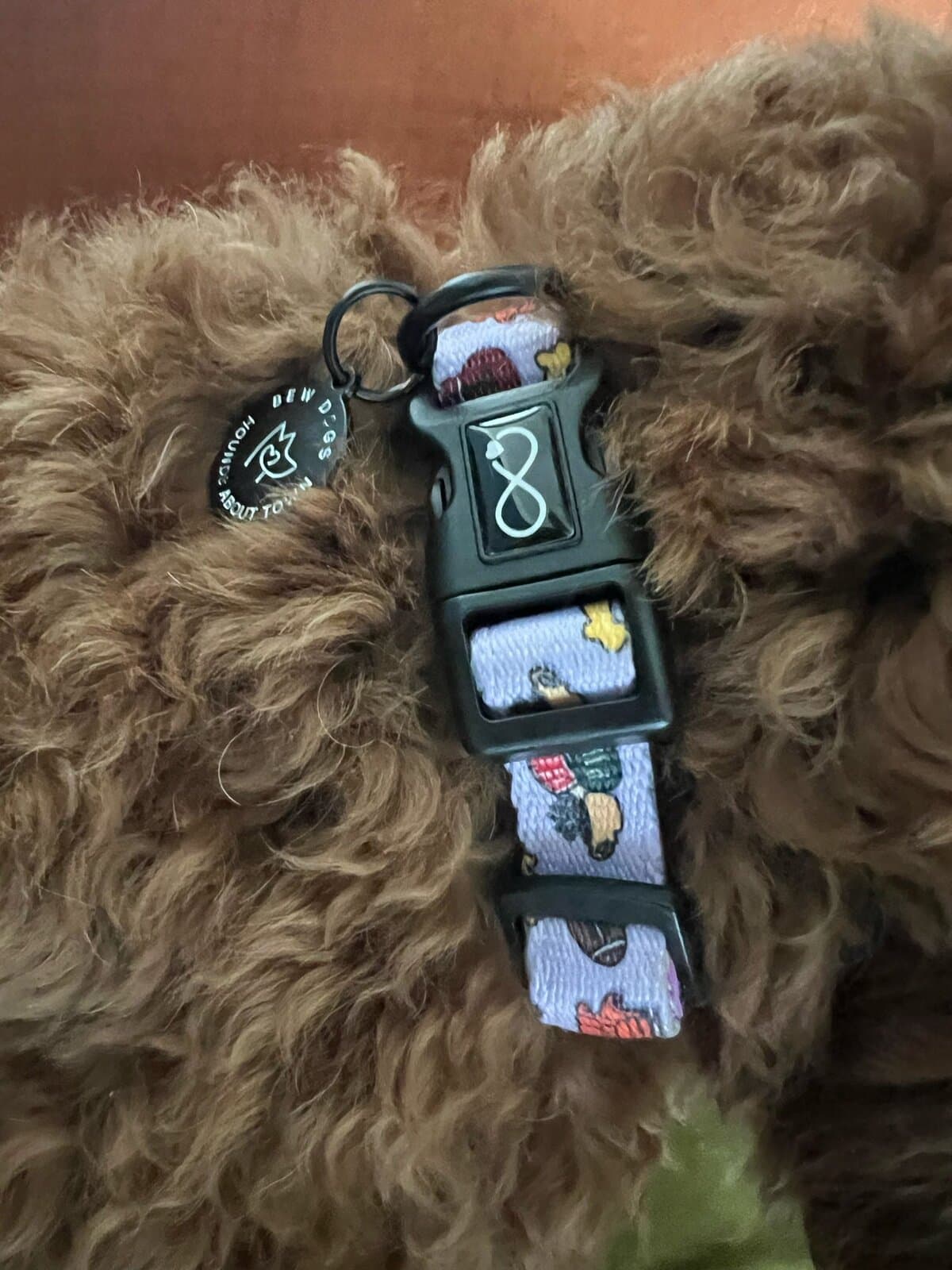 Durable neoprene dog collar featuring colourful cartoon design for comfort and style.