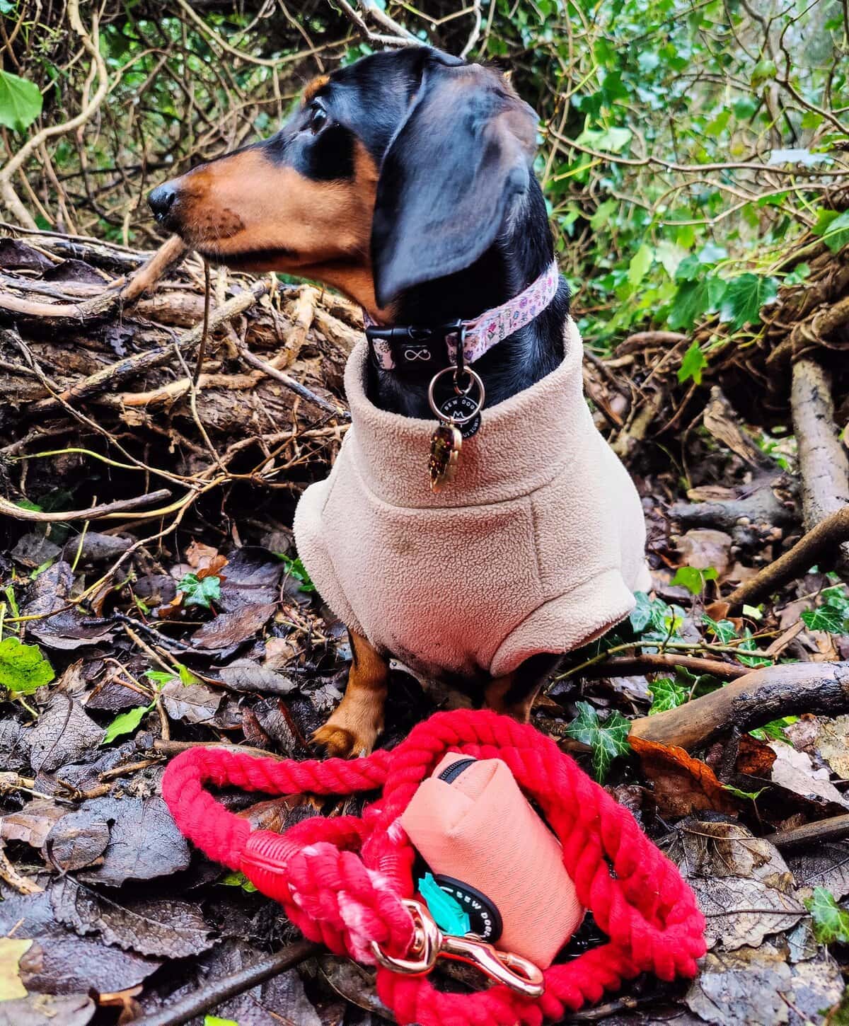 Neoprene dog collar with a pink pattern, suitable for small to medium dogs. Durable and comfortable.