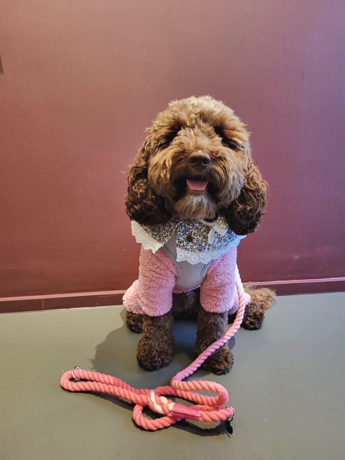 Bright pink neoprene dog collar with matching leash for small to medium dogs. Comfortable, durable,.