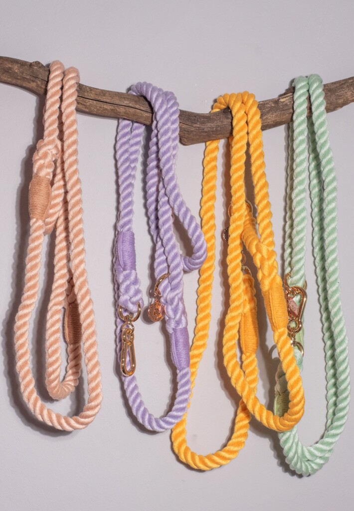 A tree branch with four pastel rope leads draped over it. high quality and luxury leads which are perfect for walking without pulling. 