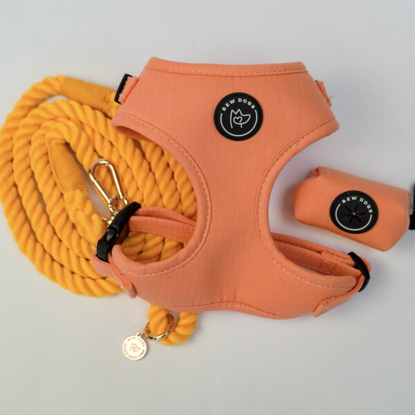 a bundle of stylish dog accessories, including a harness, poo bag holder and rope lead in orange peach, against a white background.