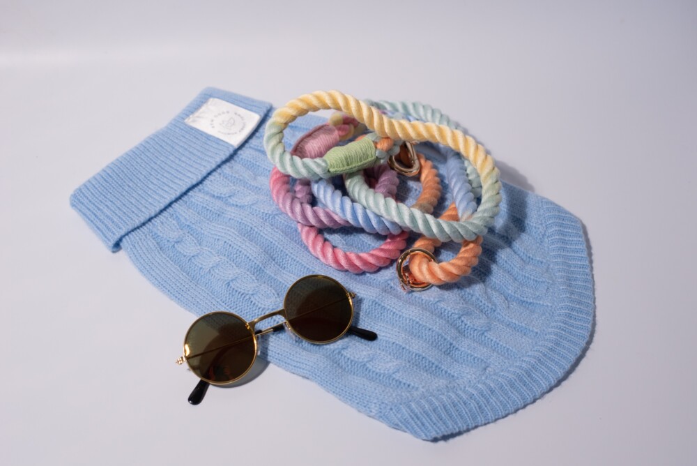 A bundle consisting doggy specs, a rainbow rope lead and blue dog jumper.