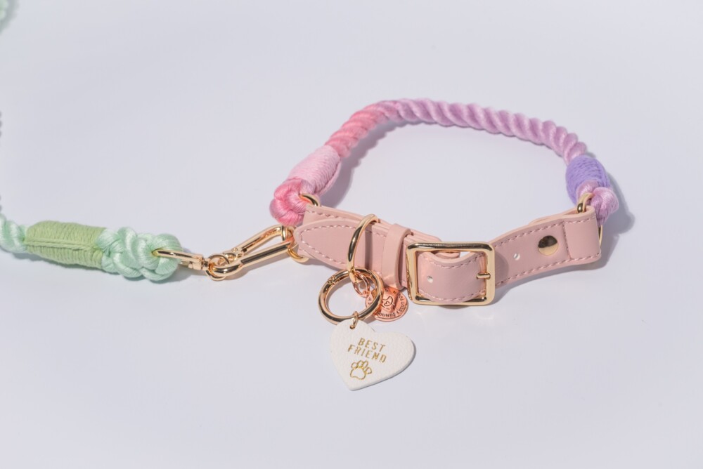 A rainbow rope collar in pink tones and a mint green lead against a white background.