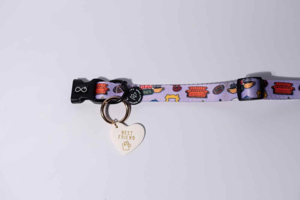 A purple neoprene dog collar with a tag saying "best friend" against a white background