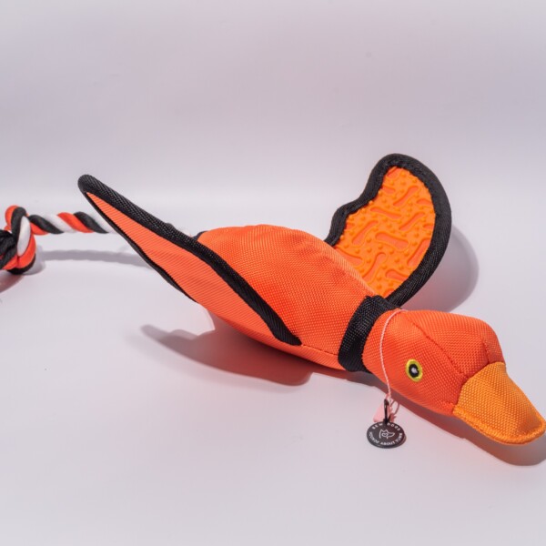 An Orange duck dog Toy against a white background
