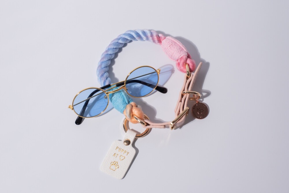 a small pair of blue tinted dog sunglasses and a blue rope lead on a white background