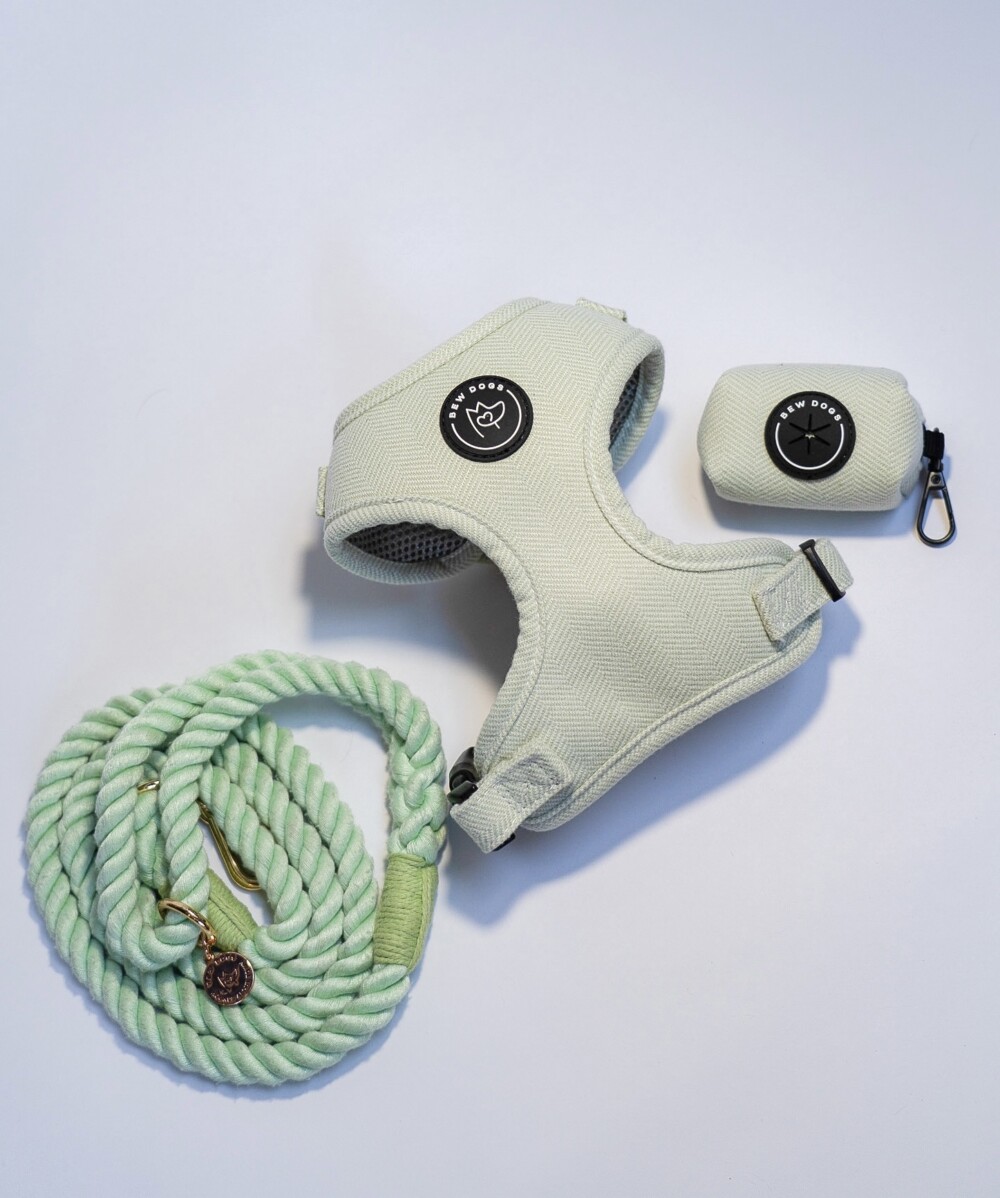 A bundle of mint green dog accessories including harness, poop bag holder and rope lead