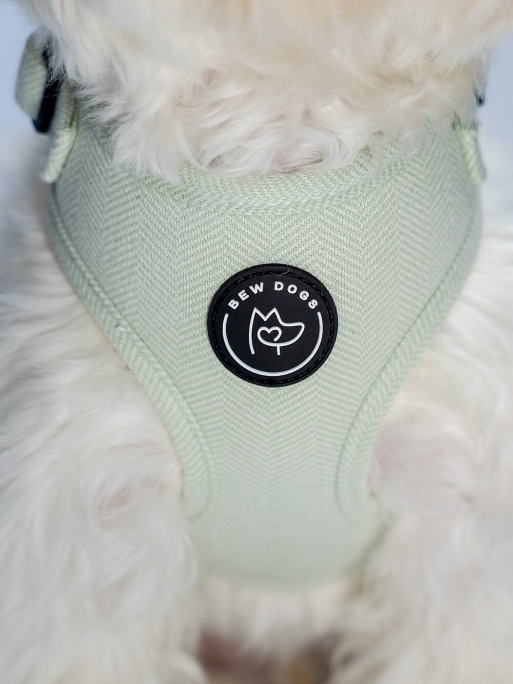 A close up of a mint green harness on a white dog with the Bew Dogs logo