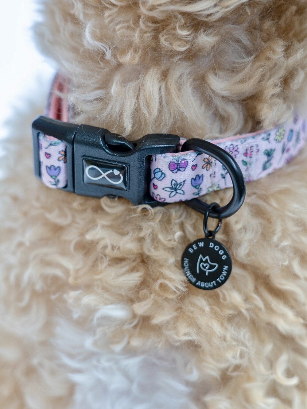 a close up of a fluffy dog wearing a pink collar with flowers on it and a bew dogs logo tag