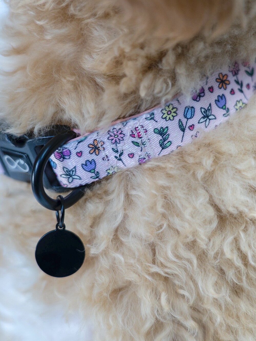 Close up of pink floral collar on fluffy dog