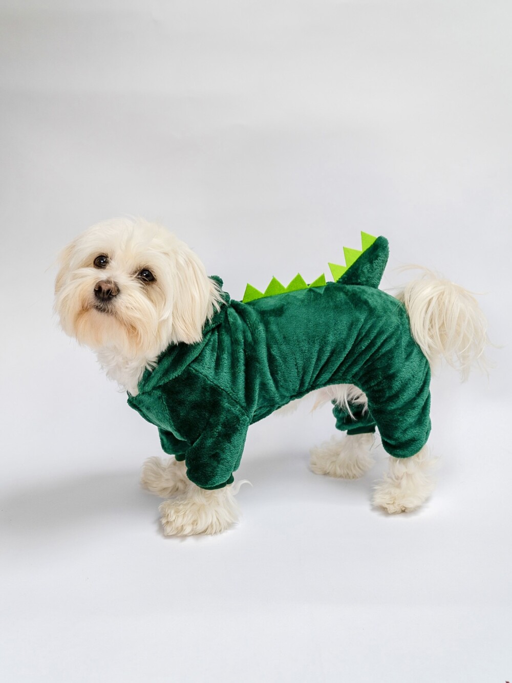 A cute small white dog wearing a green dinosaur costume