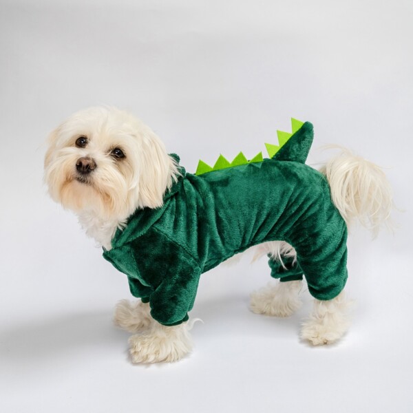 A cute small white dog wearing a green dinosaur costume
